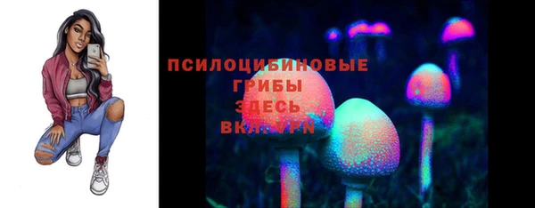 стафф Абаза