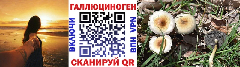 ОМГ ОМГ ссылки  купить наркоту  Нефтеюганск  Галлюциногенные грибы GOLDEN TEACHER 