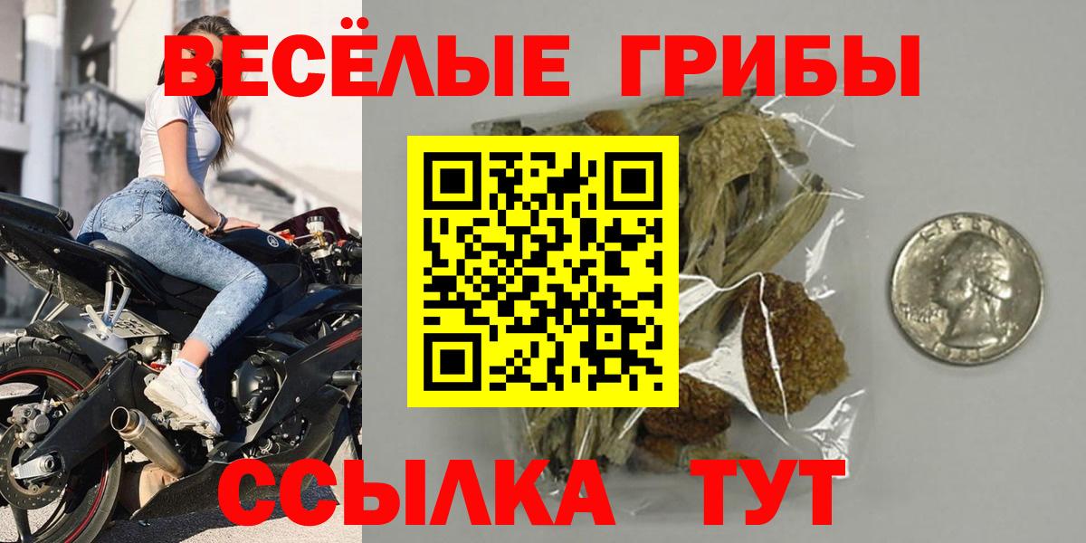 Псилоцибиновые грибы GOLDEN TEACHER Нефтеюганск